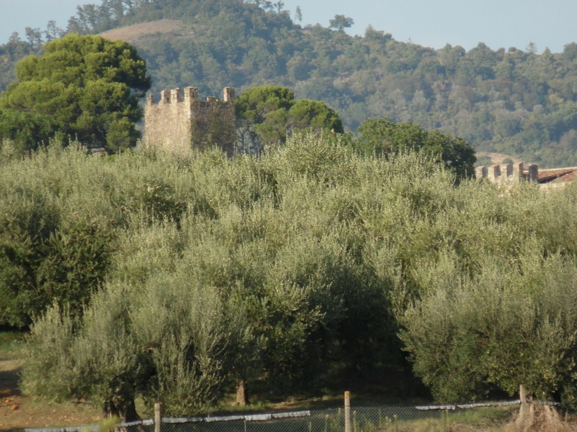 Podere Caldaruccio La Pineta 페루자 외부 사진